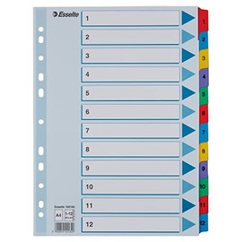 Esselte 100162 A4 1-12 Index, Heavy Duty Cardboard with Mylar Reinforced Tabs, Blue/Multicolour