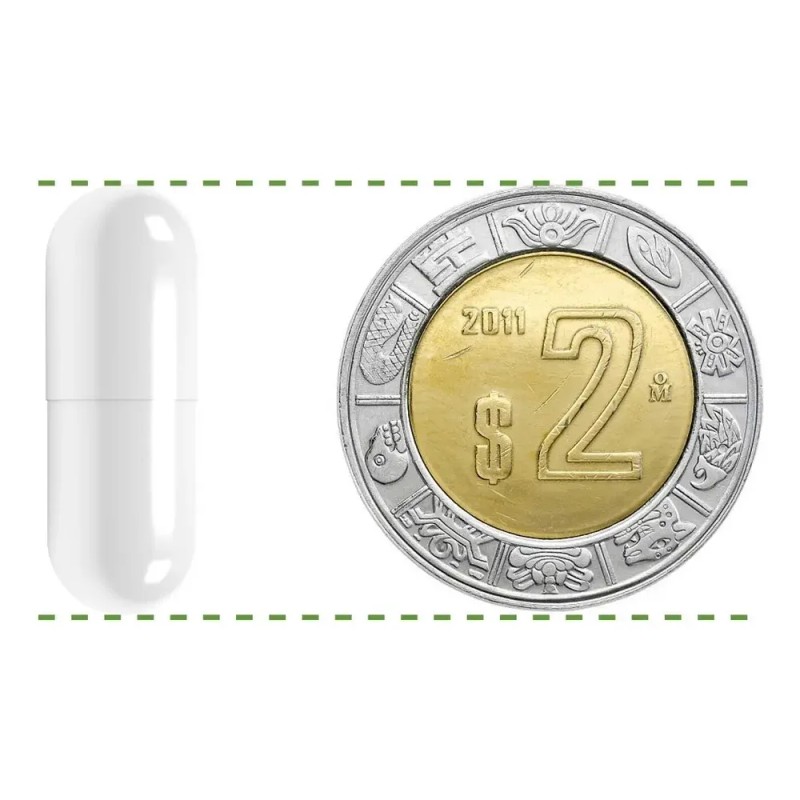 BIO B | Extracto de Cúrcuma C3 Complex al 95%