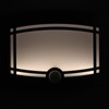 6V Motion Sensor Light Body Sensor Night Light LED Bedroom