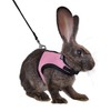 Niteangel Adjustable Soft Harness with Elastic Leash for Rabbits (M,