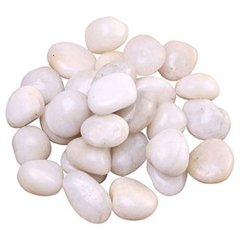 FANTIAN Natural Polished White Pebbles - 5lb Smooth White River Rocks for Plants, Aquariums, Vase Fillers and Fairy Garden