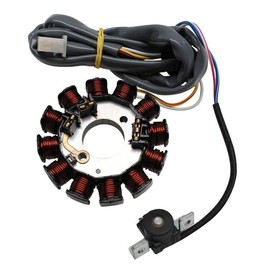 cyclingcolors Alternator Stator Ignition Motor Motorcycle Scooter Moped Compatible with MBK Booster Nitro Ovetto Stunt Yamaha BW's Aerox Neos Slider 12 Poles