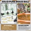 Otoolling 2 Pcs Bird Bath Copper Disk, Thick Reinforced Disc