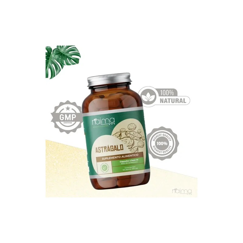 Astrágalo Adaptógeno Vegano en Cápsulas para Inmunidad y Energía