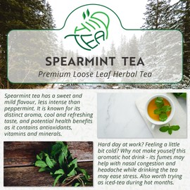 Spearmint Herbal Loose Leaf Tea - Pure Mint Leaves for Refreshing Tea (100g, Spearmint)