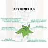 Lemon Balm Tea by Amelia Rose | Melissa Officinalis |50