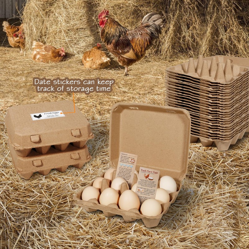 JOINSI 50 Pack Egg Cartons Bulk, 3×4 Style Reusable Empty
