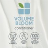 Biolage Volumeboom 1 Litre Shampoo and Conditioner Bundle