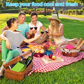 DIELOVEHUA Pack of 4 200 ml Ice Packs for Cool Bag, Ice Packs for Lunch, Reusable Ice Packs, Ice Packs for Cool Box, for Outdoor to Keep Food Fresh