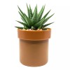 Flipo Flower Pot Diversion Safe with Key Lock - Hidden