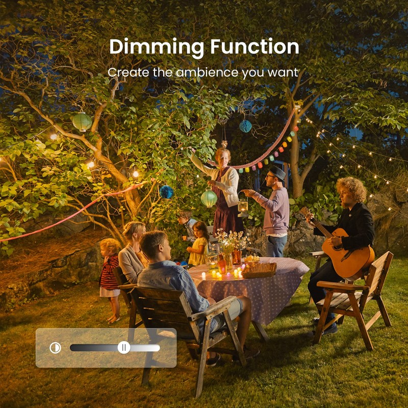 Outdoor Dimmer for Stript Lights, BestCon Light Dimmer with RF