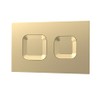 nuie XTY009PS8 Bathroom Accessories Modern Dual Flush Plate with Square