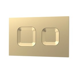 nuie XTY009PS8 Bathroom Accessories Modern Dual Flush Plate with Square Buttons, 267 x 170 x 11mm, Brushed Brass