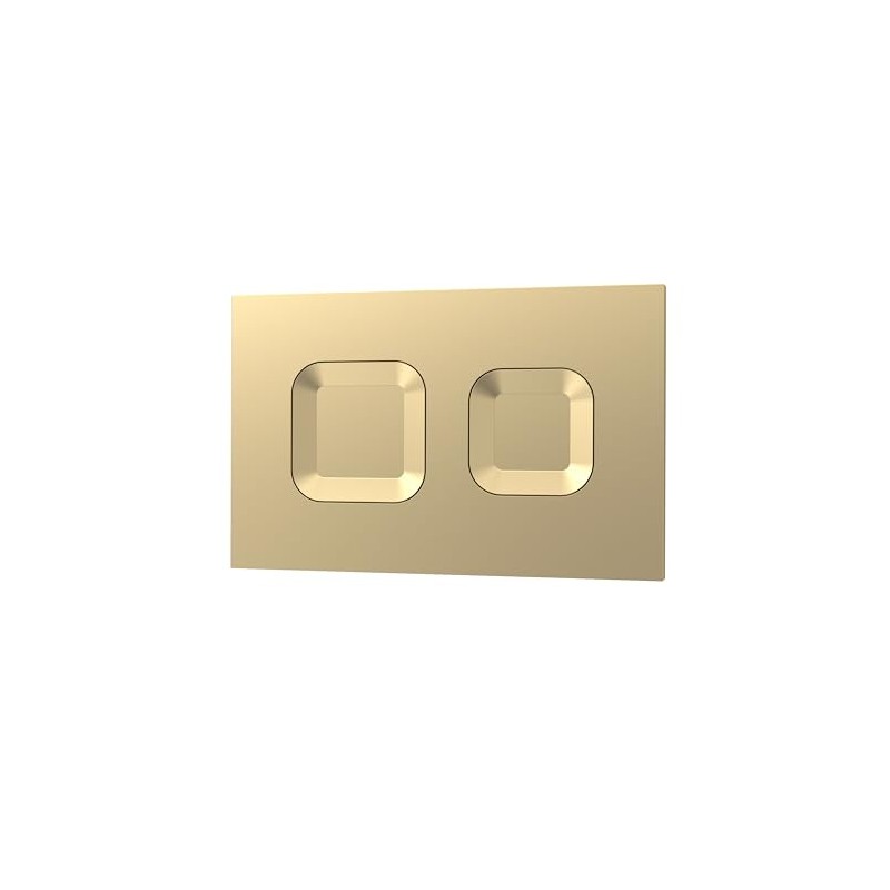 nuie XTY009PS8 Bathroom Accessories Modern Dual Flush Plate with Square