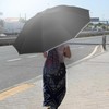 Sykrawki Windproof Inverted Umbrella with 10 Ribs, Automatic Open/Close, Compact,