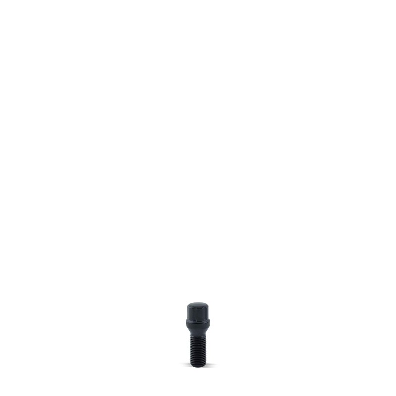 MR LUGNUT: 5 Lug - 20 Lug Bolts, 1 Key,
