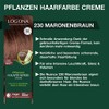 Logona Herbal Hair Color Cream, 230 Chestnut Brown, 150 ml