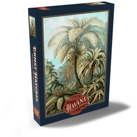MyPuzzle Ferns (Filicinae) - Art Forms in Nature, Vintage Art Poster, Ernst Haeckel - Premium 500 Piece Puzzle - MyPuzzle Special Collection by Havana Puzzle Company