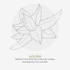 Green People Parfümfreie Gesichtssonnencreme LSF15, 50 ml | Natürlicher Bio-Moisturizer