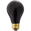 Fluker's Incandescent Black Nightlight Bulbs for Reptiles, 100 Watt