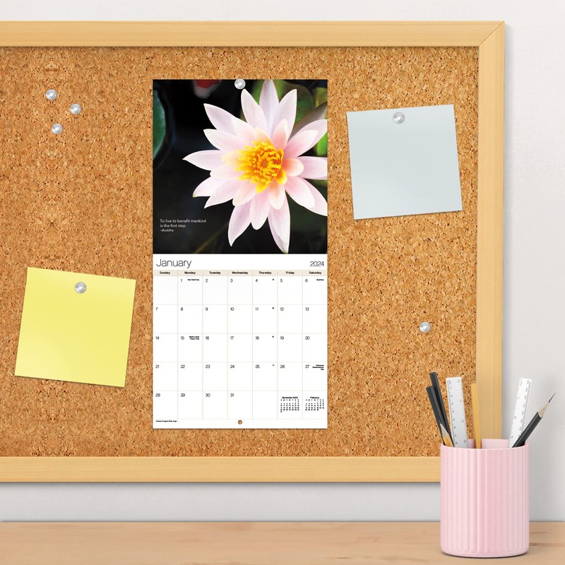 2024 Zen Mini Wall Calendar