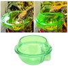 Reptile Feeder, Anti Escape Feeder Cups Transparent Worm Live Fodder