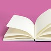 PAPERAGE Blank Journal Notebook, (Raspberry), 160 Pages, Medium 5.6 in