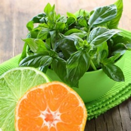 LIME BASIL SEEDS *  CITRUS FLAIR * ZESTY AROMA OF LIME * 100 SEEDS* GOURMET *