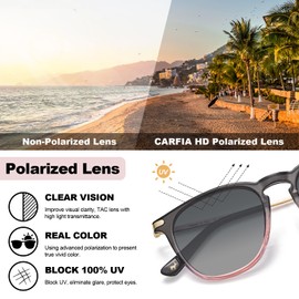 TSEBAN Vintage Polarised Women's Sunglasses Women Blue Light Filter Glasses, Acetate Frame & UV 400 Protection, D - Gradient Frame; Lens: Gradient Gray