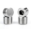 Goldpea Stainless Steel 316 Hex Socket Plug, 1/4" NPT Male,