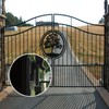 4-Pack Barrel Gate Hinge 5 inches Heavy Duty Weld-On Install
