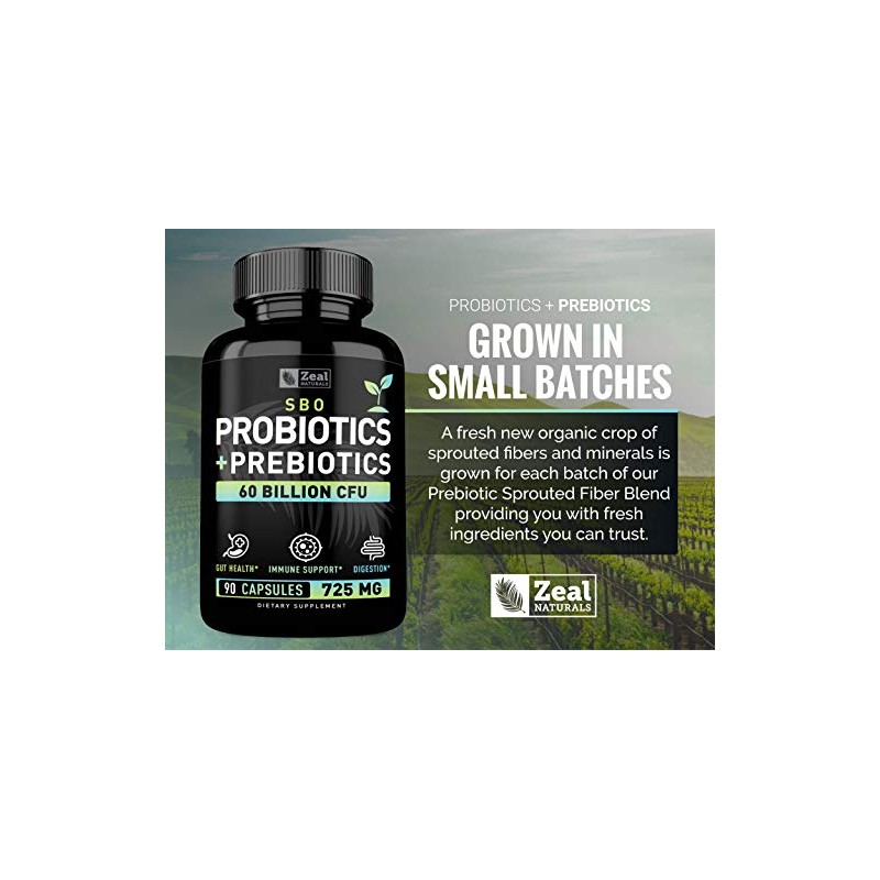 Zeal Naturals Probióticos y prebióticos Probióticos SBO (60 mil millones