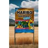 New Limited Edition Haribo Goldbears Gummi Bears Tropical Flavors: Pineapple,