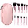 RAHHLIZS 10 Pcs Mini Travel Makeup Brushes with Pouch, Pink