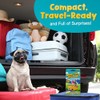 WELL BALANCED 120 Road Trip Riddles - Road Trip Car