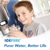 ICEPURE RWF0600A Refrigerator Water Filter Compatible for GE MWF, MWFINT,