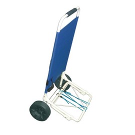 Rio Beach All Purpose/All Terrain Cart