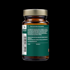 Holland & Barrett Conception & Pregnancy Support 30 Tablets