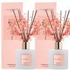Cocorrína Premium Reed Diffuser Set with Preserved Baby's Breath &