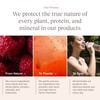 Yoli® Passion Energy Drink Powder Mix - Natural Energy Drink