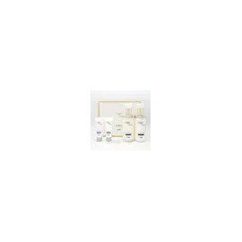 오휘 딜라이트 테라피 바디 2종 기획 Ohui Delight Therapy Body 2-Piece Set