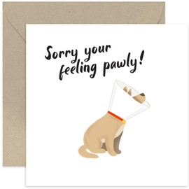 Funny Get Well Soon Card - 'Sorry You're Feeling Pawly' Dog Pun Card - Dog Cone Illustration Card for Dog Owner, Pet Owner | Blank Inside Envelope