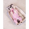 Small Dog Clothes,Elastic Pet Onesie Protect Joints Anti-hair Anti Licking