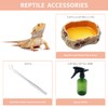 Reptile Growth Reptile Terrarium,10 Gallon Reptile Tank 20" x 10"x