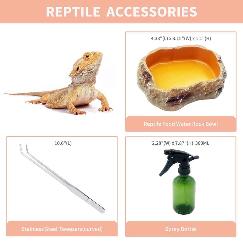 Reptile Growth Reptile Terrarium,10 Gallon Reptile Tank 20" x 10"x