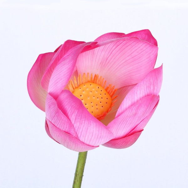 Artificial Flower, Lotus Flower, Lotus Flower with Stem, Total Length 34.6 inches (88 cm) (Lotus Seed/Lotus) (Natural Material/Natural Material) (Flower Material) (Arrangement/Display/Decoration)