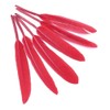 Charming Beads Red Dyed Goose Feathers 10-17cm Pack Of 30