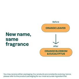 ATTITUDE Hand Sanitizer Spray for Adults and Kids, EWG Verified, Kills Bacteria and Germs, Vegan, Orange Blossom & Eucalyptus, 3.38 Fl Oz (Spray Bottle)