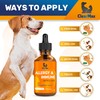 Dog Allergy Relief for Puppies & Adult Ones – Cat