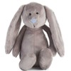 Little Grey Bunny Rabbit Plush Soft Toy with 60 Second